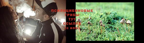 хмурый Балабаново