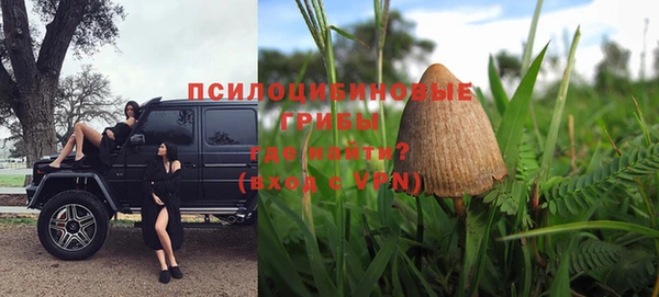 ГАЛЛЮЦИНОГЕННЫЕ ГРИБЫ Баксан