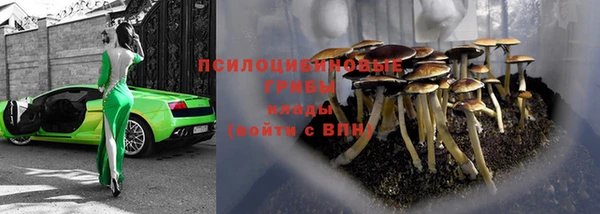 ГАЛЛЮЦИНОГЕННЫЕ ГРИБЫ Баксан