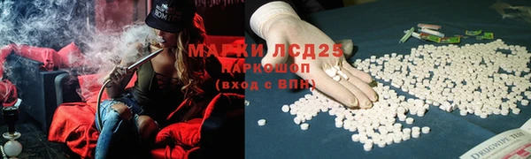 ГАЛЛЮЦИНОГЕННЫЕ ГРИБЫ Баксан